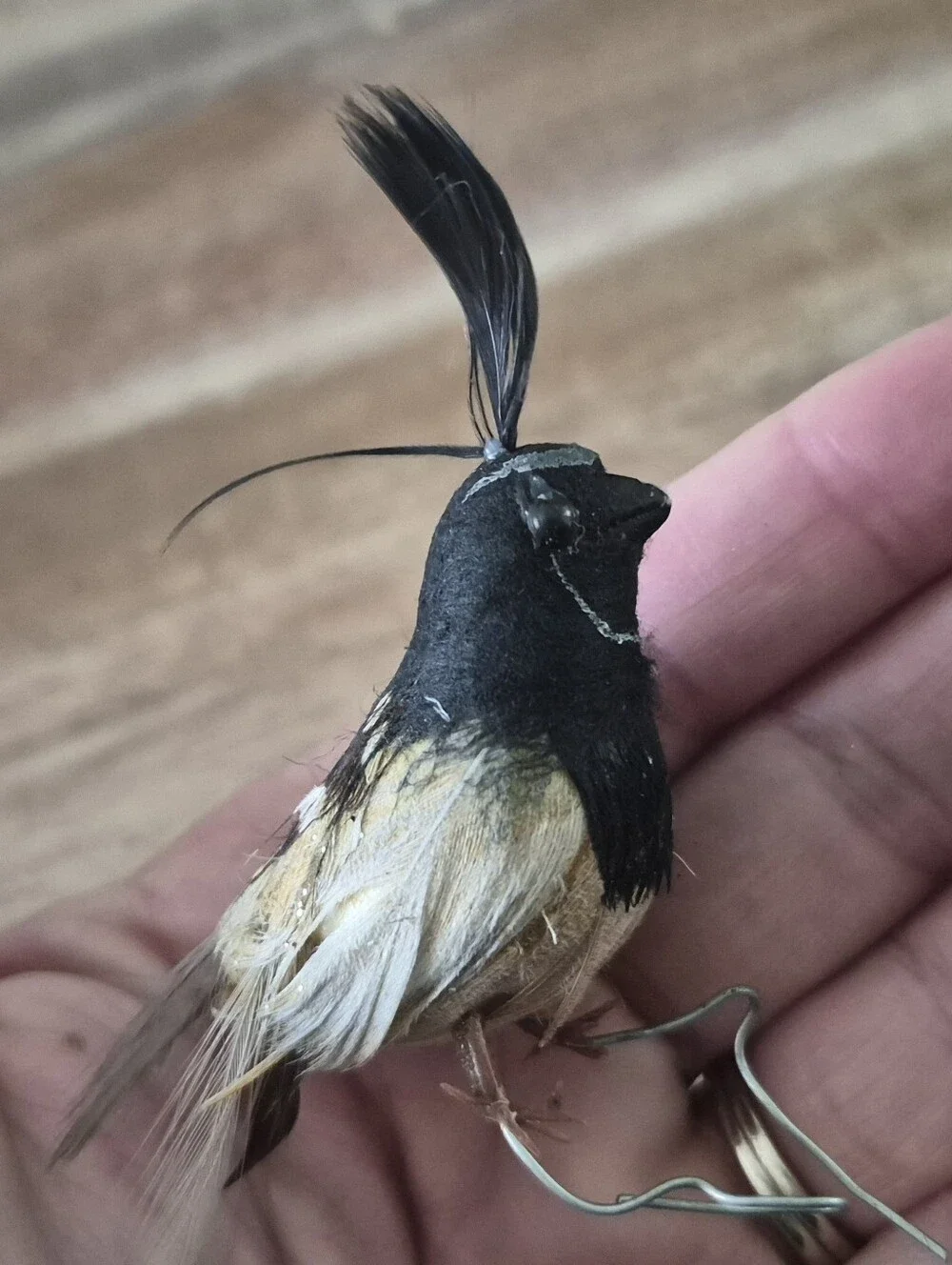 Set of 3 Decorative Faux Feathered Songbird Ornaments - Black & Brown